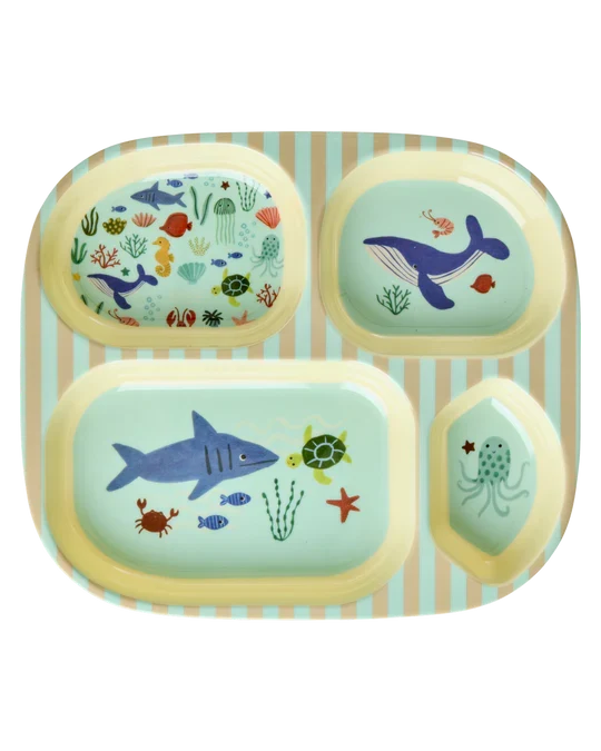 Kindergeschirr und Lunchboxen