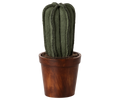 Blumentopf mit Kaktus