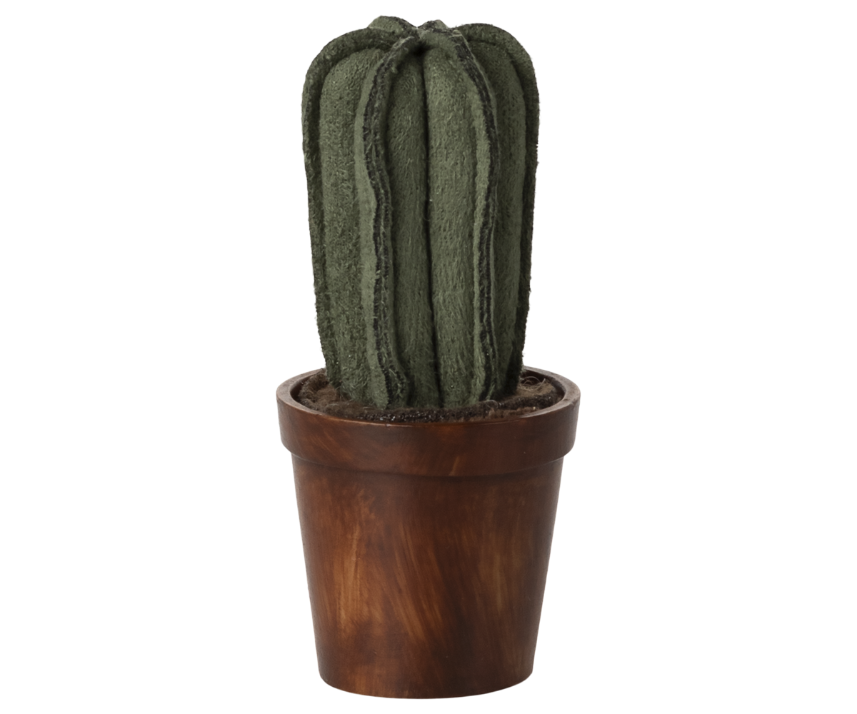 Blumentopf mit Kaktus