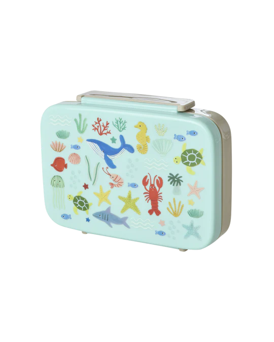 Kunststoff Lunch Box