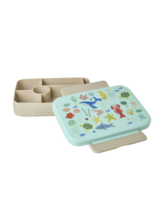 Kunststoff Lunch Box