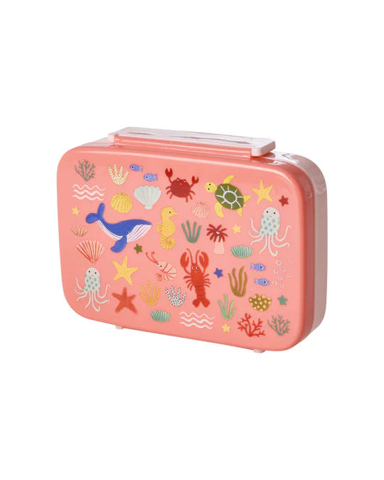 Kunststoff Lunch Box