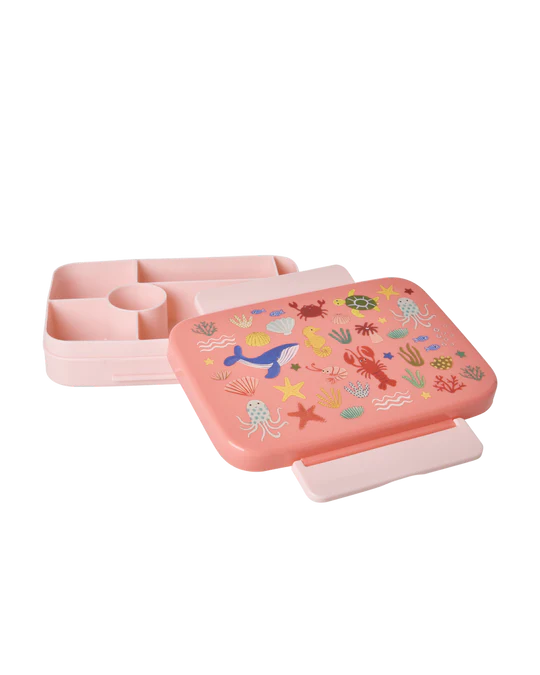 Kunststoff Lunch Box