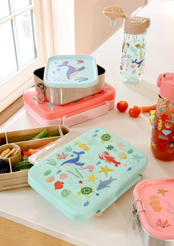 Kunststoff Lunch Box
